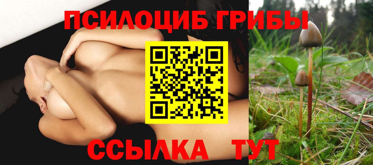 Печора  Галлюциногенные грибы ЛСД  Галлюциногенные грибы GOLDEN TEACHER  где найти наркотики  Вход с VPN 